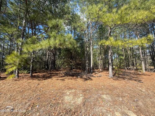 Tbd Mizpah Rd, Rockingham, NC, 28379 | Card Image