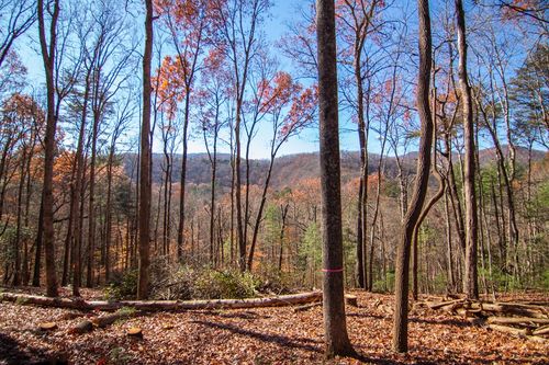 Lot 5 Clay'S Way, Blue Ridge, GA, 30513 | Card Image