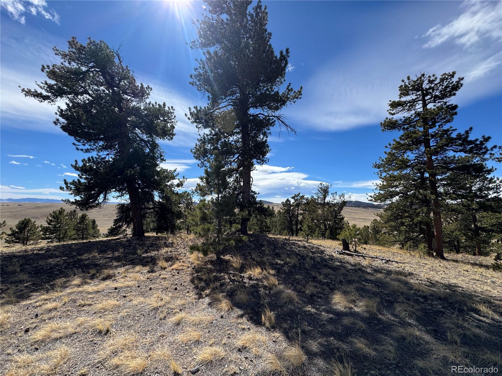 Land in Jefferson 2