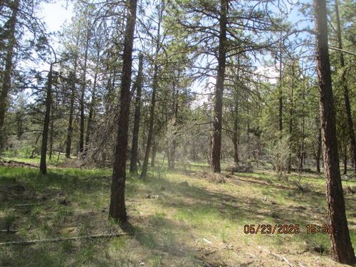 5-0 Golden Eagle Dr, Bonanza, OR, 97623 | Card Image