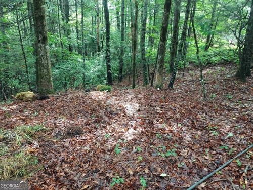 0 LOT 3 Jiminy Peak Ln, Dillard, GA, 30537 | Card Image