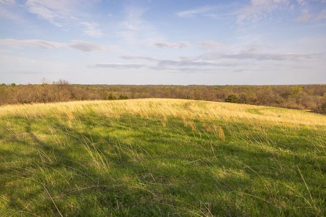 View of local wilderness with a rural view | Image 73