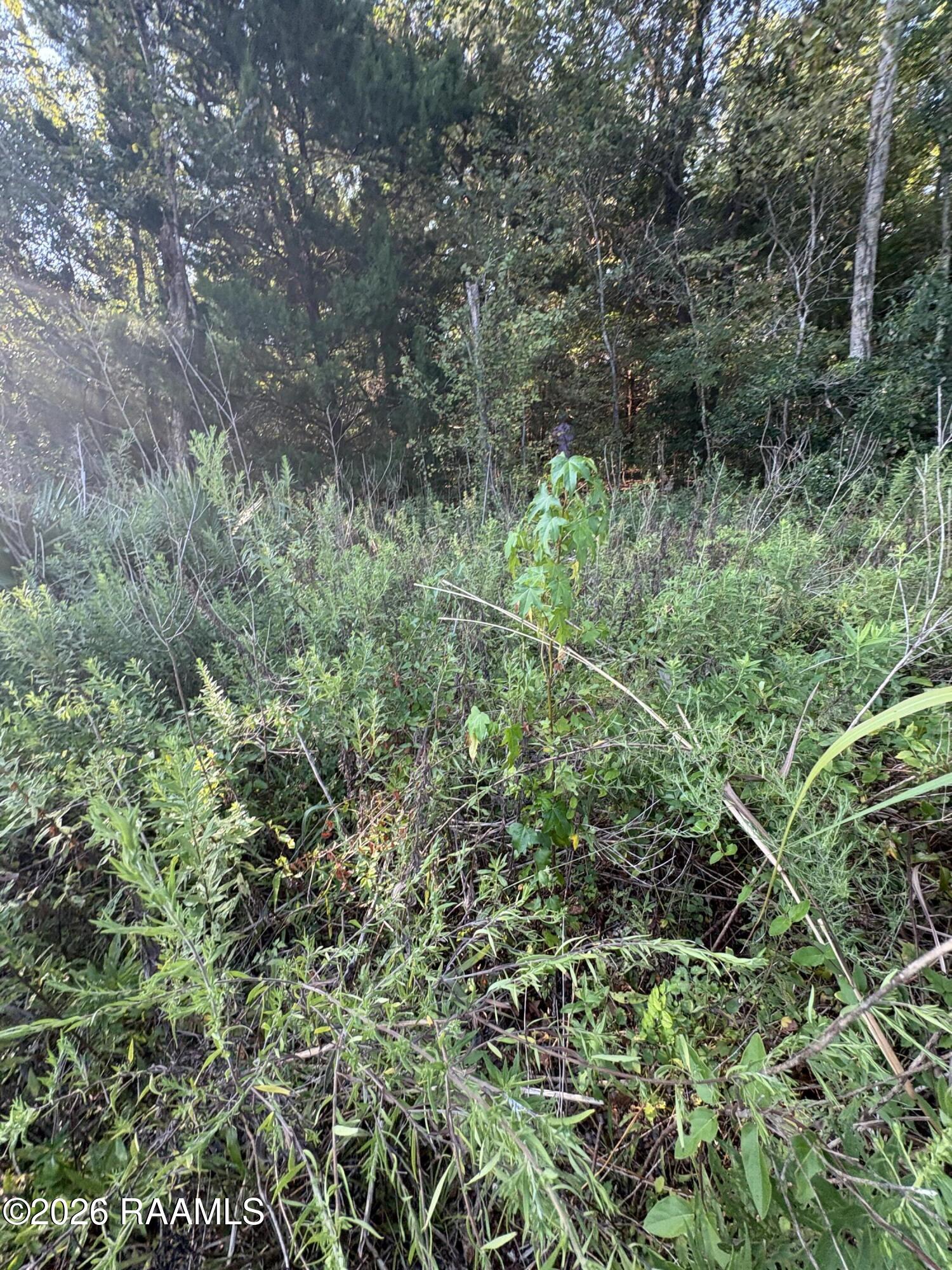 Land in Intracoastal City