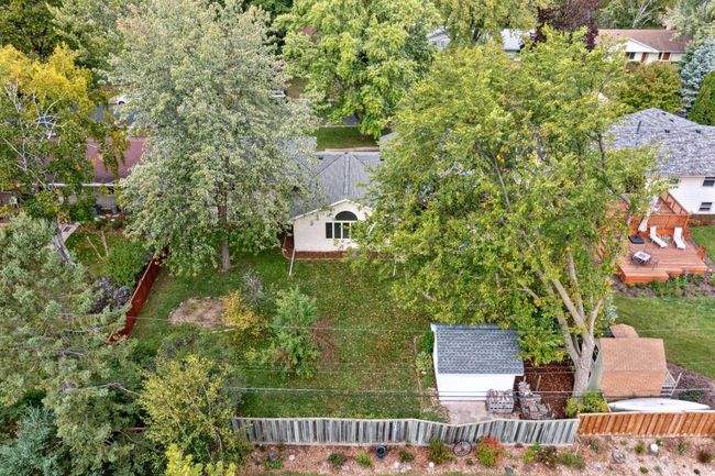 Great yard with privacy. | Image 6