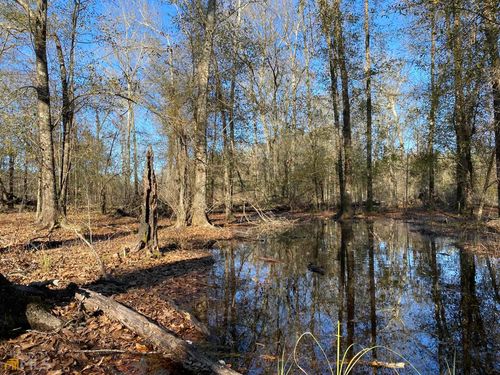 010 Ray Rd, Damascus, GA, 39841 | Card Image