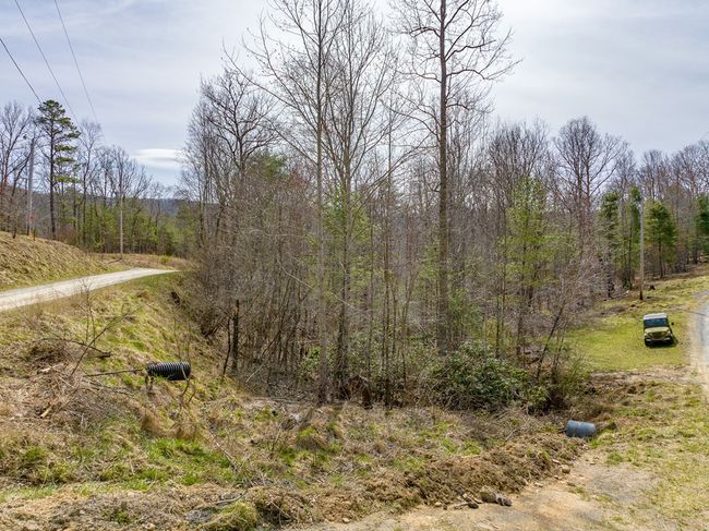 Lot12/14 Lake Forest Lane, Home with 0 bedrooms, 0 bathrooms and null parking in Bland VA | Image 4