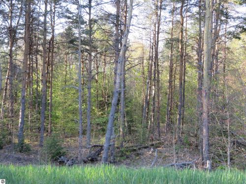 **** Ponytail Trl, Petoskey, MI, 49770 | Card Image