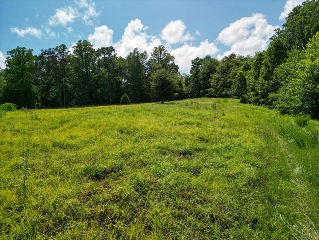 0 Allens Creek Rd, Home with 0 bedrooms, 0 bathrooms and null parking in GLADSTONE VA | Image 23