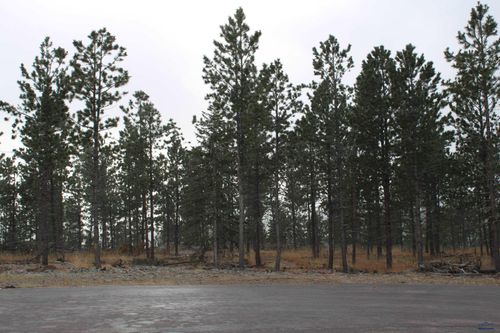 TBD Lofty Pines Rd, LEAD, SD, 57754 | Card Image