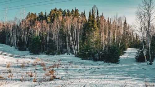 TBD Parcel 17 Hwy 115, Tower, MN, 55790 | Card Image