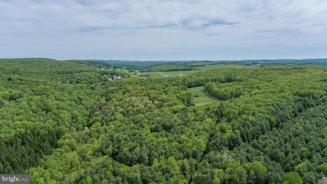 532 Pine Grove Rd, House other with 4 bedrooms, 4 bathrooms and null parking in LONACONING MD | Image 83