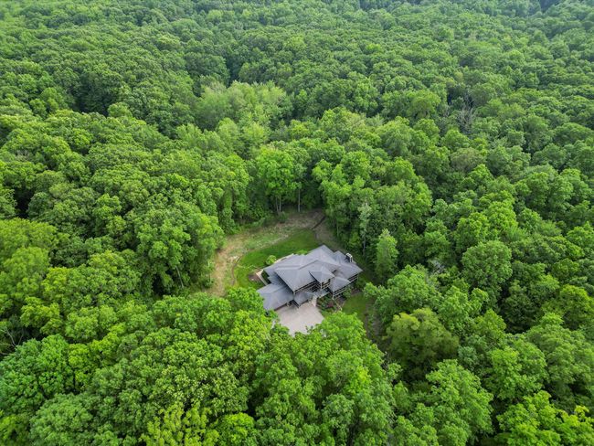 Arial With Forest View Wider | Image 9