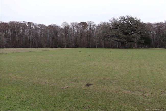 0 Highway 347, Home with 0 bedrooms, 0 bathrooms and null parking in Arnaudville LA | Image 6
