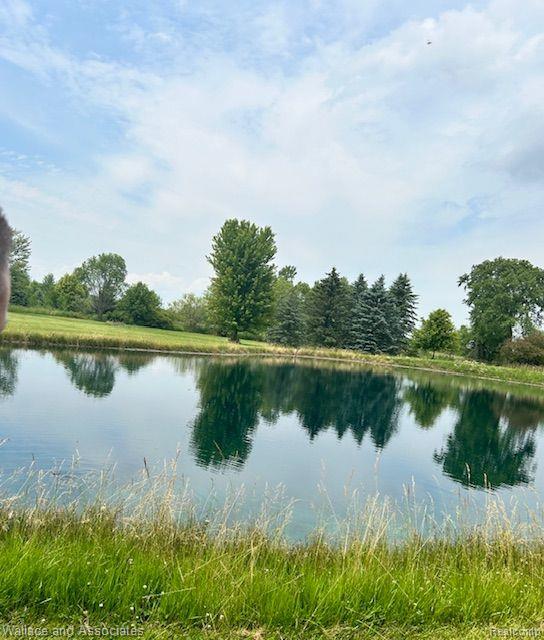 Hough Rd, Riley, MI 48041 #1