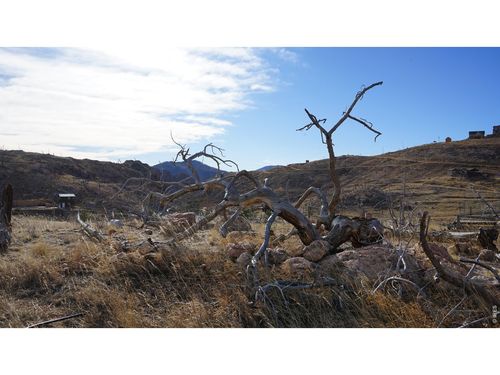 654 Horse Mountain Dr, Livermore, CO, 80536-9301 | Card Image