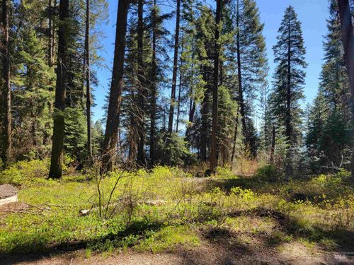 22 Melody Ln, Cascade, ID, 83611-4800 | Card Image