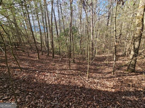 77-LOT 77 Roaring Forks Ln, Ellijay, GA, 30540 | Card Image