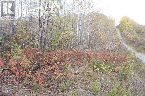 Lot 1A Campbells Road, Englehart (Central Timiskaming), ON, P0J1B0 | Card Image