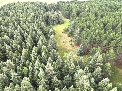 TBD- Parcel C Sleepy Hollow Road, Brainerd, MN, 56401 | Card Image