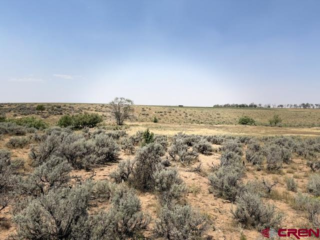 Land in Dove Creek 4