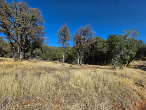 11465 Rex Resevoir Rd, Rough and Ready, CA, 95975 | Card Image