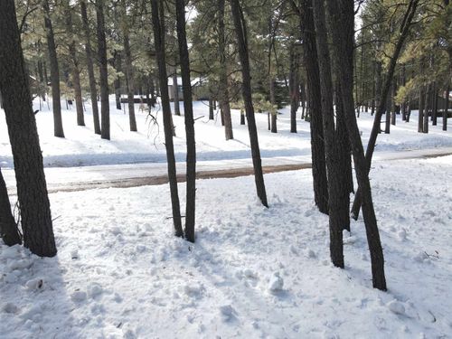 5 Pine Valley Drive, Angel Fire, NM, 87710 | Card Image