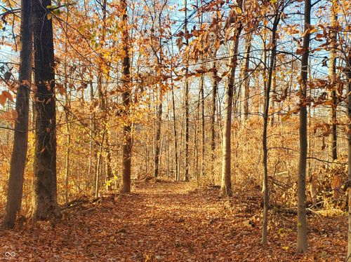 0 N Cochran Ln, Solsberry, IN, 47459 | Card Image