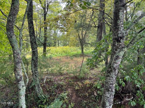 3 Locust Gap Rd, Mountain City, TN, 37683 | Card Image
