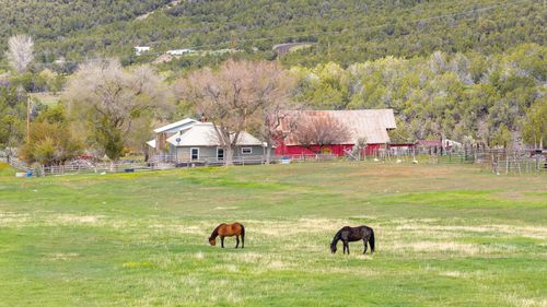 11260 54 7/10 Rd, Molina, CO, 81646-5017 | Card Image
