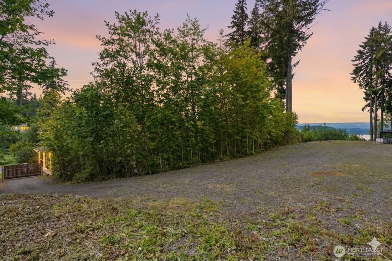 Land in Mossyrock 5