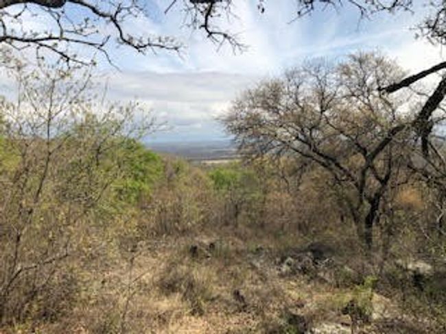 1190 Post Oak Rd, Home with 0 bedrooms, 0 bathrooms and null parking in Gordon TX | Image 4