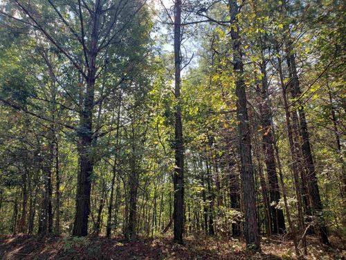 0 County Road 414, Falkner, MS, 38629 | Card Image
