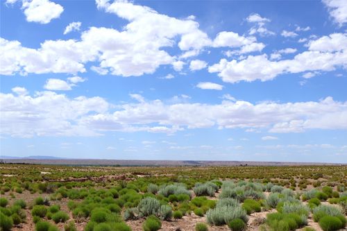Lot 3 Rio Grande Estates, Veguita, NM, 87062 | Card Image
