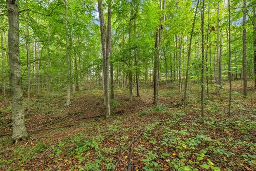 0 Tidwell Switch Rd, Bon Aqua, TN, 37025 | Card Image