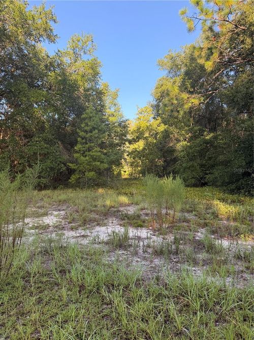 115 Orange Tree Ct, MELROSE, FL, 32666-4363 | Card Image