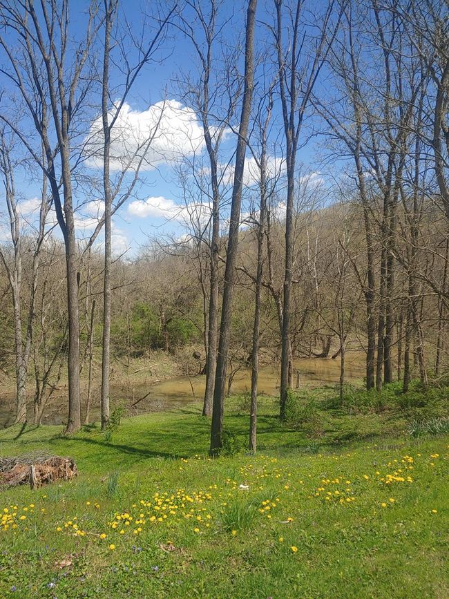 1105 Tennyson Rd, House other with 3 bedrooms, 2 bathrooms and null parking in Piketon OH | Image 29