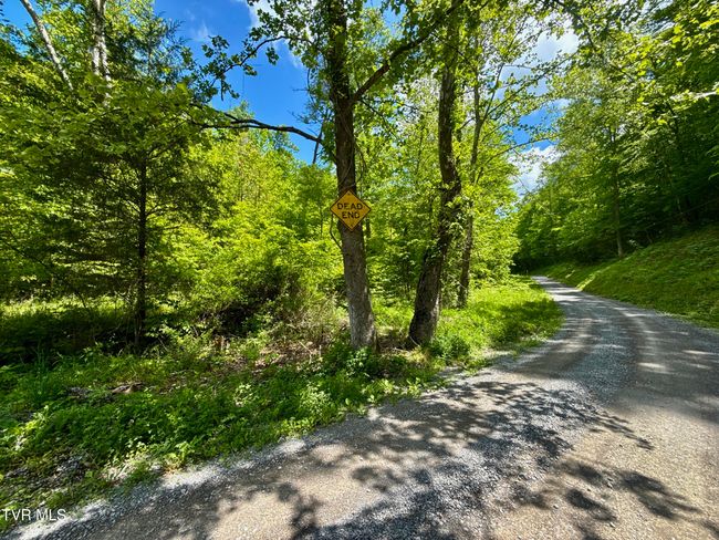 47 Tbd Enoch Rd, Home with 0 bedrooms, 0 bathrooms and null parking in Eidson TN | Image 4