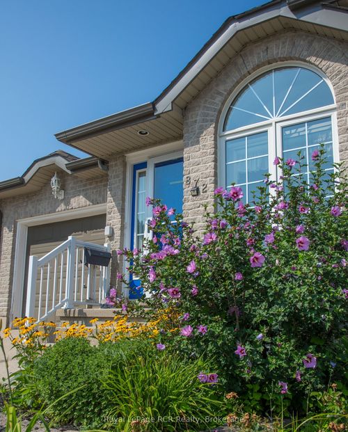 {{alt}} | Card Image