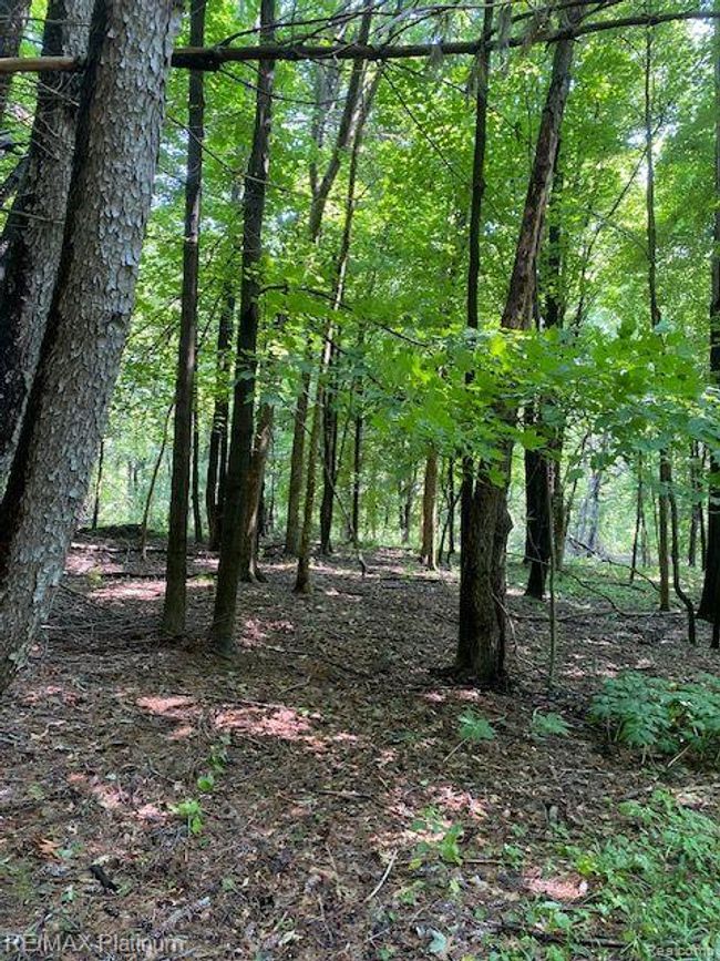 6 Sleaford Parcel 6   2.1 Acres Road, Home with 0 bedrooms, 0 bathrooms and null parking in Howell Township MI | Image 10