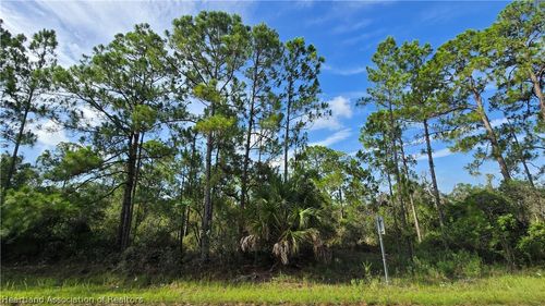 333 Moon Glow Ave, LAKE PLACID, FL, 33852-8552 | Card Image