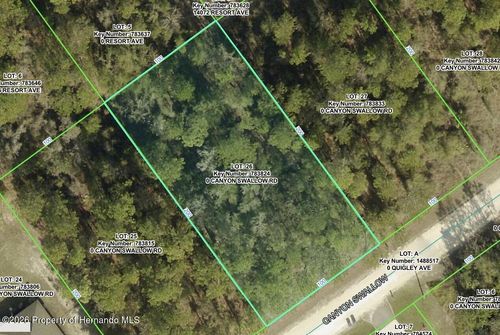 0 Canyon Swallow Rd, BROOKSVILLE, FL, 34614 | Card Image