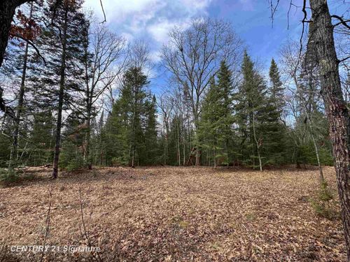 V/L Steckert Bridge Road, South Branch Township, MI, 48653 | Card Image