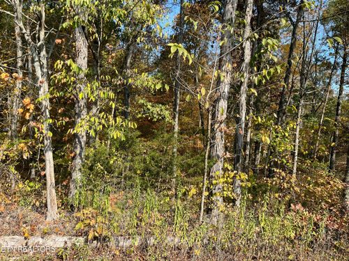 269 Elohi Way, Loudon, TN, 37774-6908 | Card Image