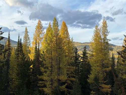 1089 Cedar Hills Rd, Trego, MT, 59934 | Card Image