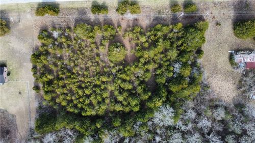 0 Old Highway 80, Faunsdale, AL, 36738 | Card Image