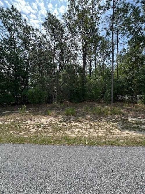 920 W Rum Pl, CITRUS SPRINGS, FL, 34434-5419 | Card Image