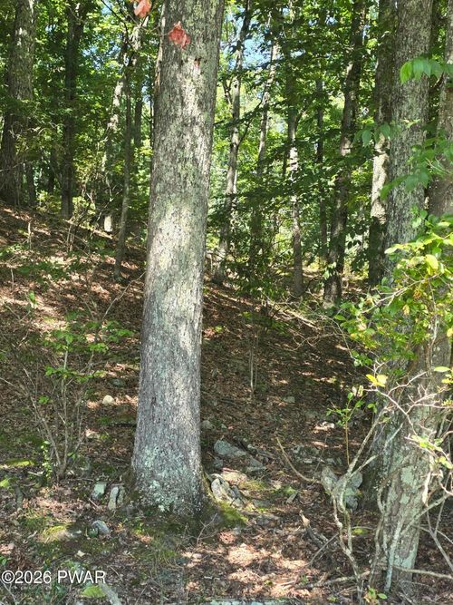 Lot 4 Renee Dr, Dingmans Ferry, PA, 18328 | Card Image