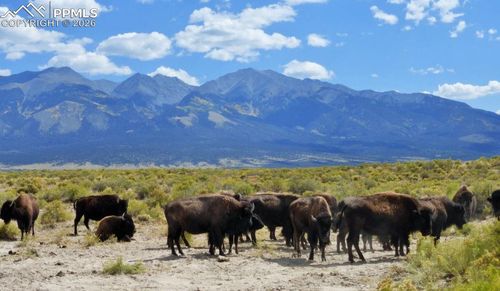 6150 Tim Rd, San Luis, CO, 81152 | Card Image
