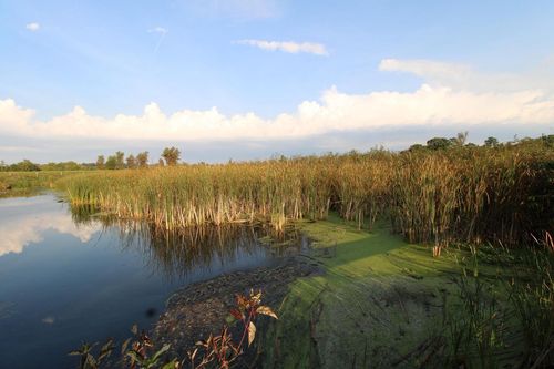 14.89 Ac 7th Drive, PACKWAUKEE, WI, 53949 | Card Image