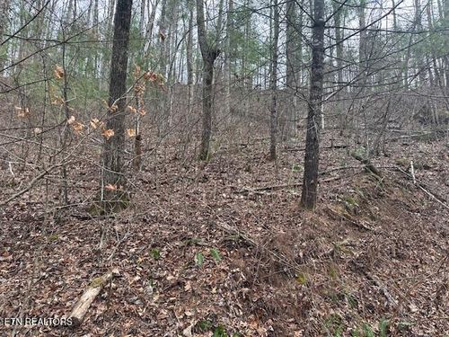 815 Tanasi Trl, Townsend, TN, 37882-3039 | Card Image